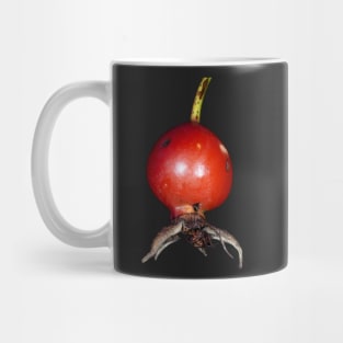 Wild rose fruit close-up Mug